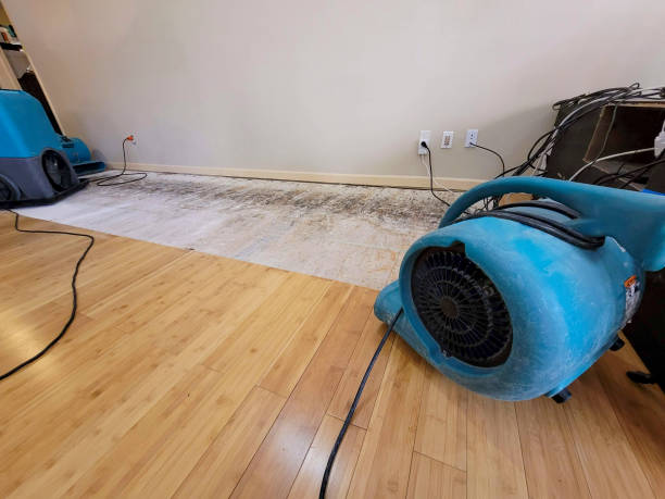 Professional Emergency Water Damage technician working in Princeton, MO
